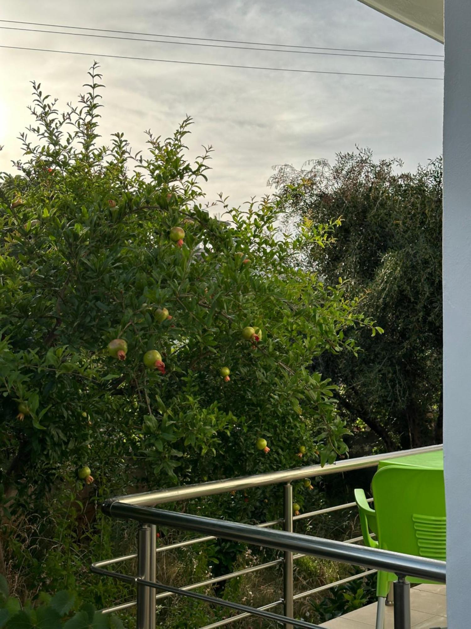 Anxhi Apartment Ksamil Bagian luar foto
